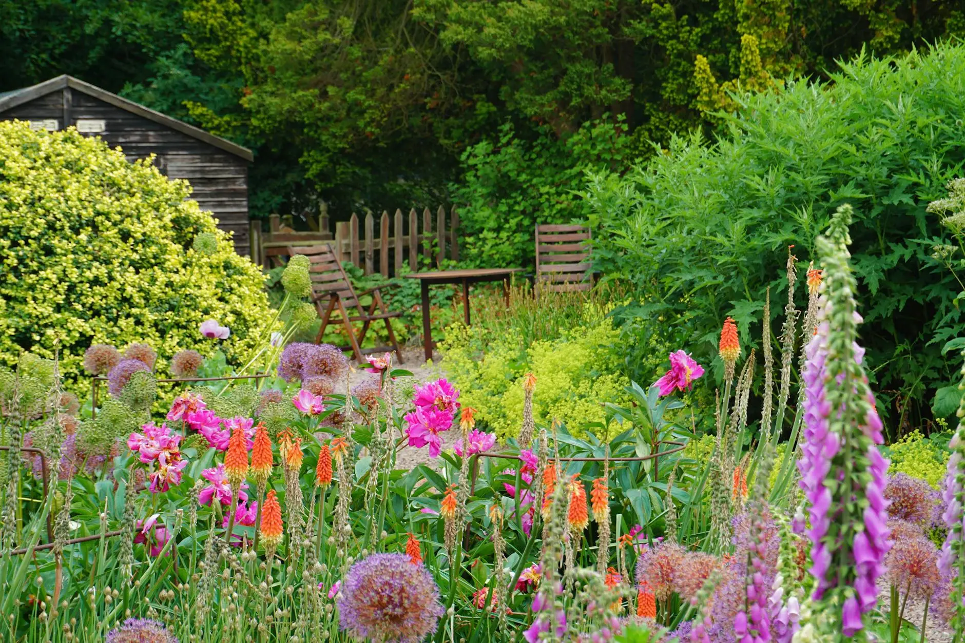 Beginner Gardening Tips + Tools to Help You Get Growing